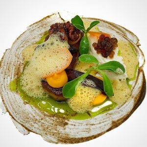  at Foxglove in Barmouth