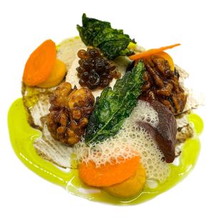  at Foxglove in Barmouth