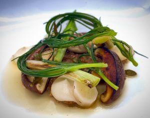  at Foxglove in Barmouth