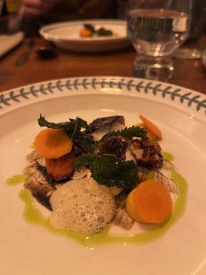   at Foxglove in Barmouth