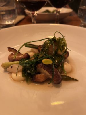   at Foxglove in Barmouth