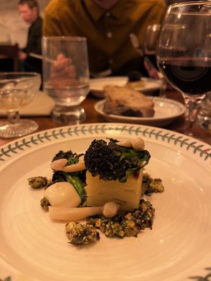   at Foxglove in Barmouth