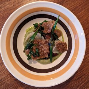  at Foxglove in Barmouth