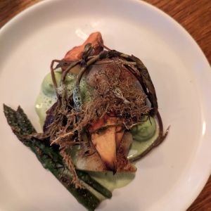  at Foxglove in Barmouth