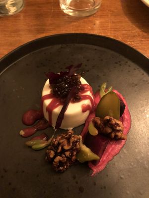   at Foxglove in Barmouth