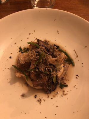   at Foxglove in Barmouth