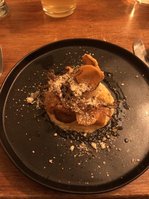   at Foxglove in Barmouth