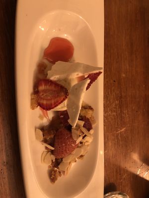   at Foxglove in Barmouth