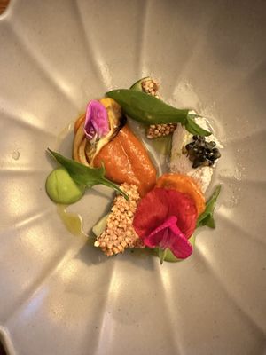   at Foxglove in Barmouth