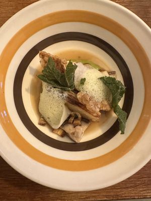   at Foxglove in Barmouth