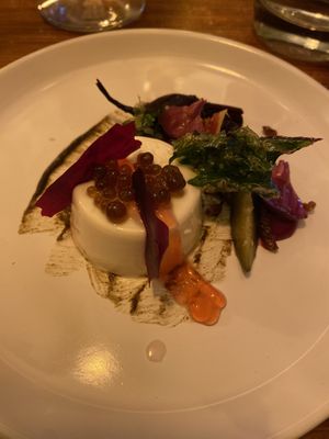   at Foxglove in Barmouth