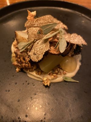   at Foxglove in Barmouth