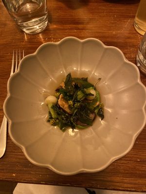   at Foxglove in Barmouth