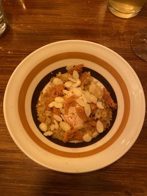   at Foxglove in Barmouth