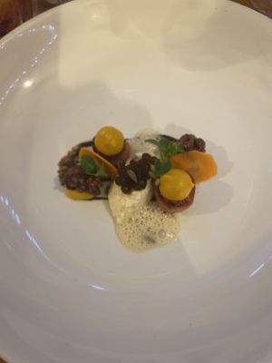 5 course menu   at Foxglove in Barmouth