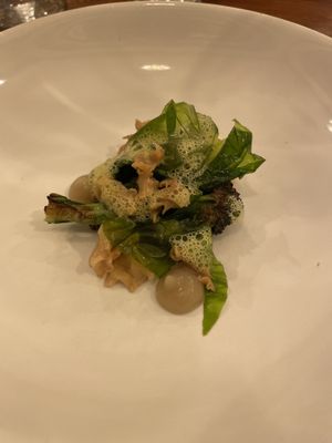   at Foxglove in Barmouth