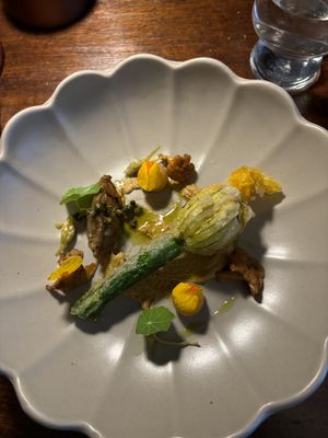   at Foxglove in Barmouth