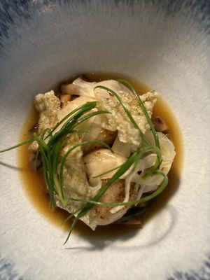   at Foxglove in Barmouth