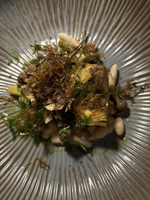   at Foxglove in Barmouth