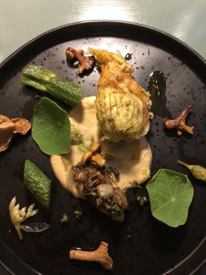   at Foxglove in Barmouth