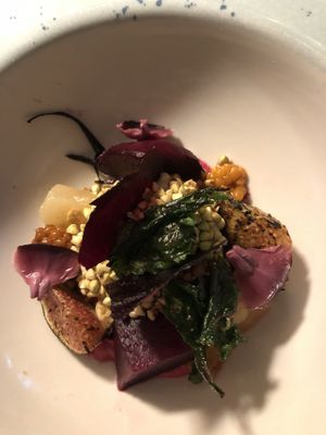   at Foxglove in Barmouth