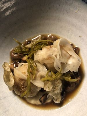   at Foxglove in Barmouth