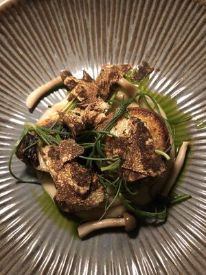   at Foxglove in Barmouth