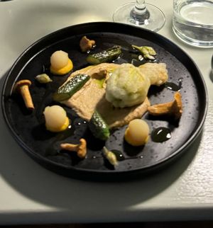   at Foxglove in Barmouth