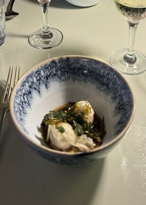   at Foxglove in Barmouth