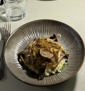   at Foxglove in Barmouth