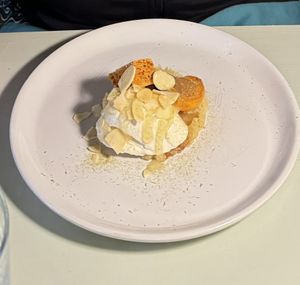   at Foxglove in Barmouth