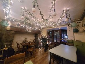 Foxglove Inside #Veganuary at Foxglove in Barmouth