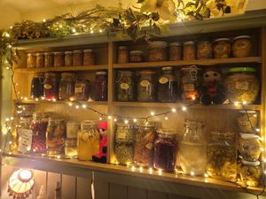 Foxglove Inside (Fermentation) #Veganuary at Foxglove in Barmouth