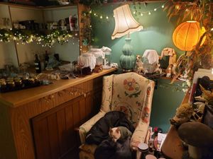 Foxglove Inside #Veganuary at Foxglove in Barmouth