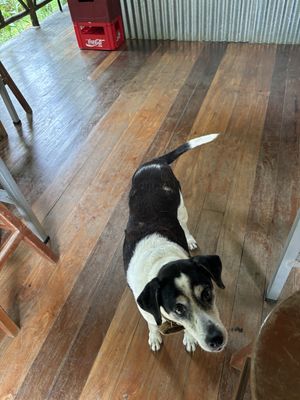 Gorda 💗  at Los Gatos Locos in Ojochal De Osa