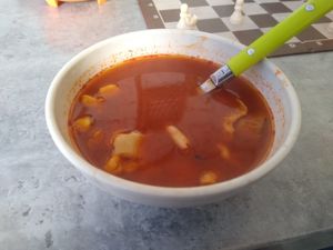 Parte de la degustación gratuita del convivio antiespecista y ahora parte del nuevo menú plant based de la cafetería. Menudo de setas y championes. at La Allende in Lerdo