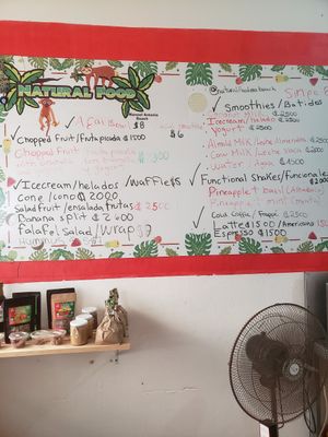 Memu at Perezoso Coffee House in Manuel Antonio