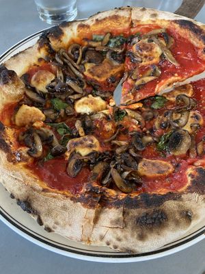   at Gravity Heights in San Diego