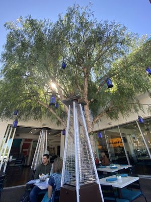 Outdoor patio vibes #Veganuary at Pueblo in San Diego