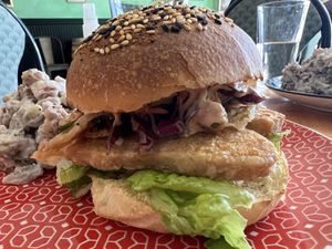 	

O"fish"ally Not Caught  at Magdelena's in Petaluma