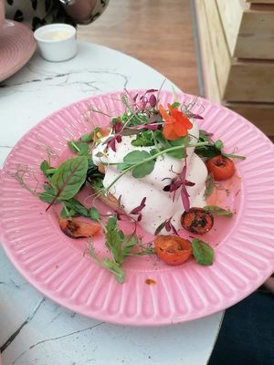  at Rise Plant Kitchen + Movement Studio in Malvern