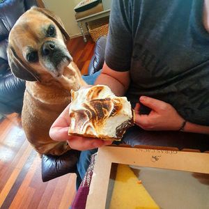 S'more slice at Güras Cacao in Mordialloc