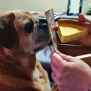 Vanilla custard tart at Güras Cacao in Mordialloc