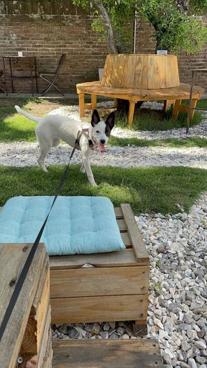   at Vrote in Montevideo