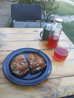 Tostado campo ao pesto y kombucha casera de hibisco at Vrote in Montevideo