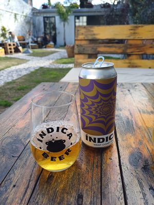   at Vrote in Montevideo