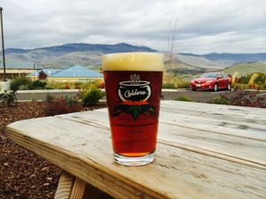 Enjoy a pint in our outdoor dining area. All 45 beers are Vegan except Strawberry IPA as it has lactose sugar in it. at Caldera in Ashland