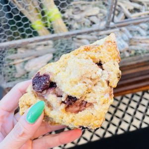   at The Branch Line in Santa Rosa