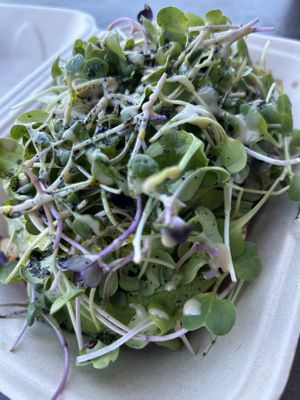   at The Branch Line in Santa Rosa