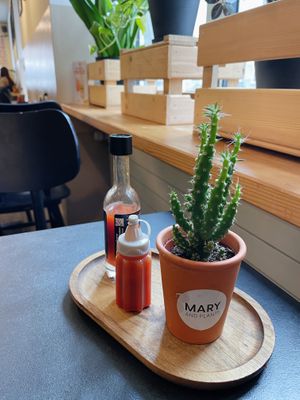   at Veganitas in Zurich